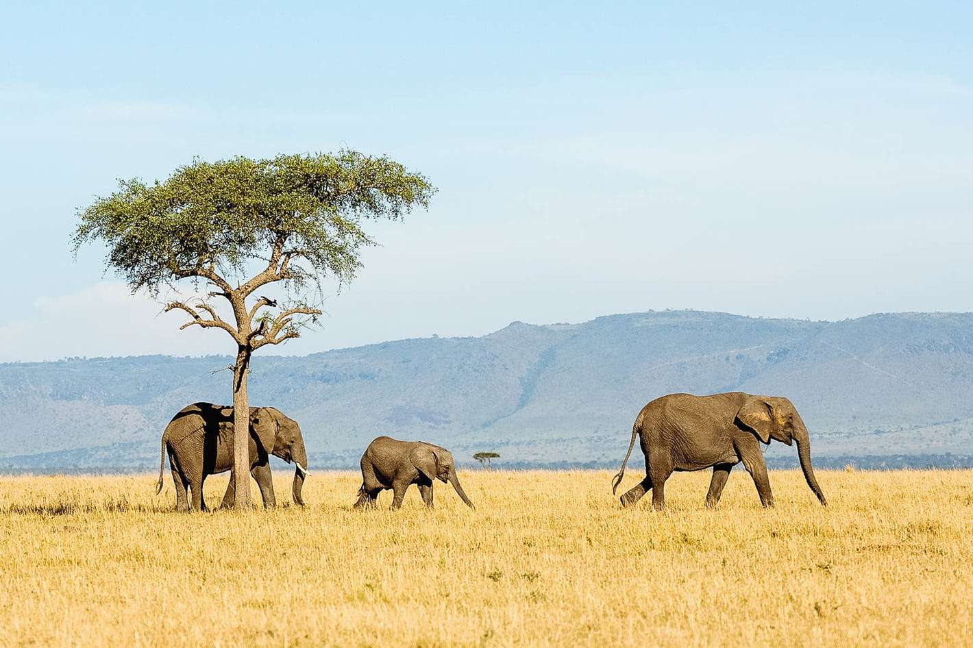 Top 10 Exotic Destinations to Add to Your Travel Bucket List
