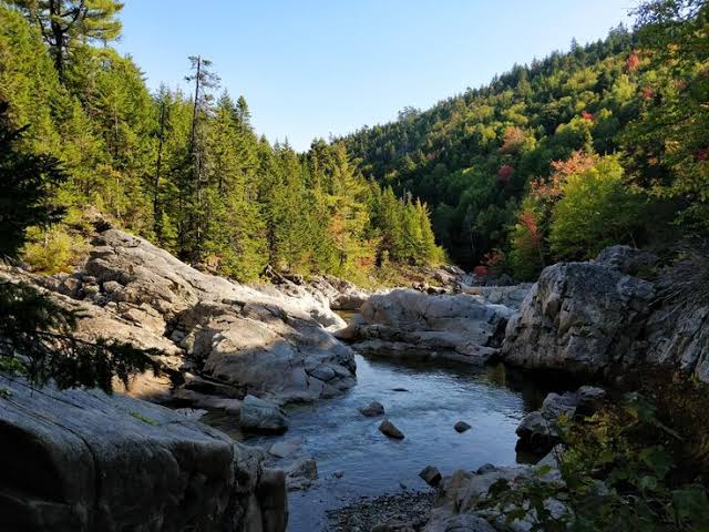 Fundy National Park.