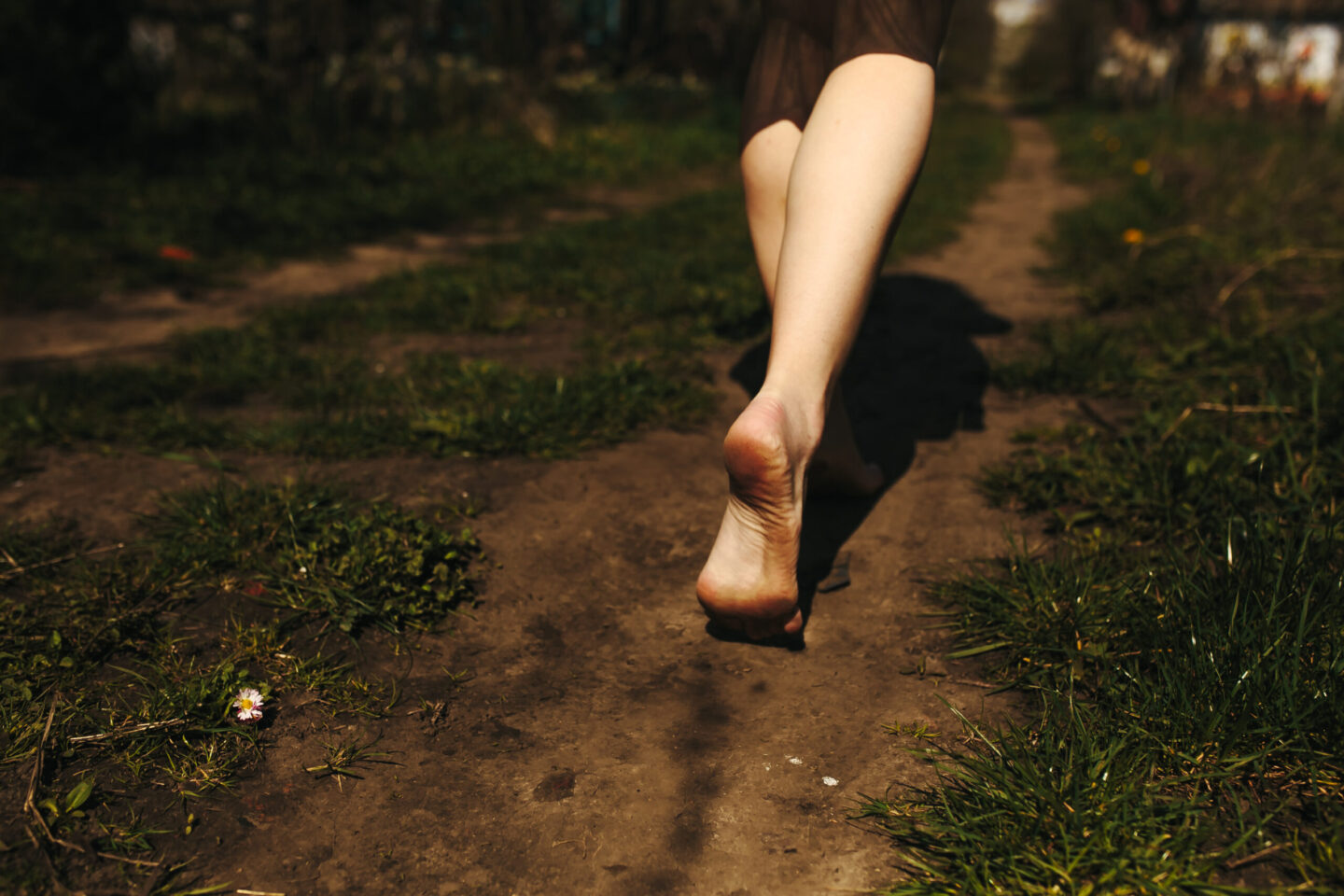 How to Use Ayurveda to Balance Your Doshas and Achieve Optimal Health