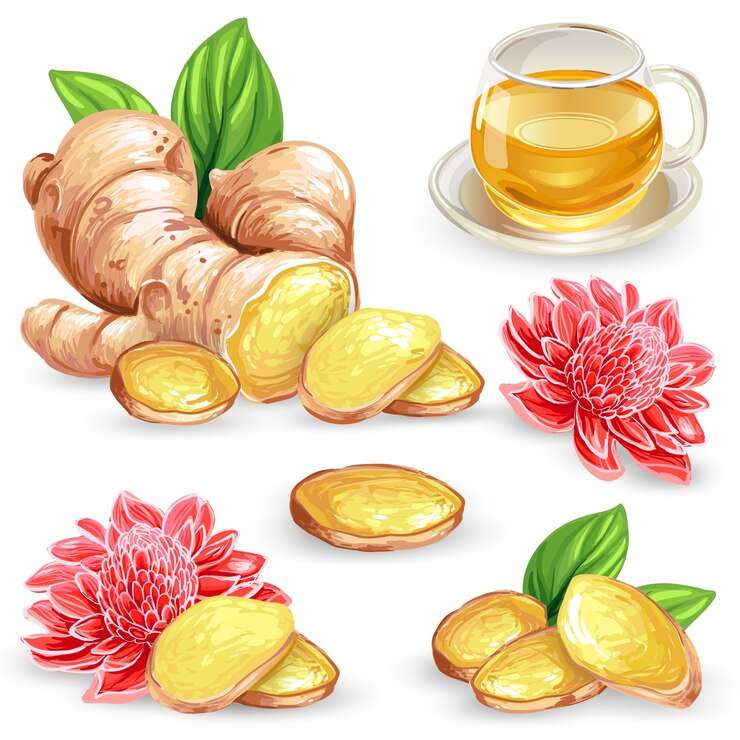The Love Central - TLC-Winter-Superfoods-to-Boost-Your-Immunity-2 The Love Central -