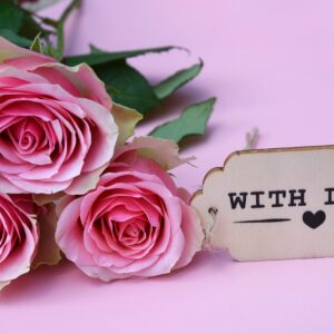 The Love Central - The Best Valentine’s Day Flowers and Their Meanings The Love Central - The Best Valentine’s Day Flowers and Their Meanings