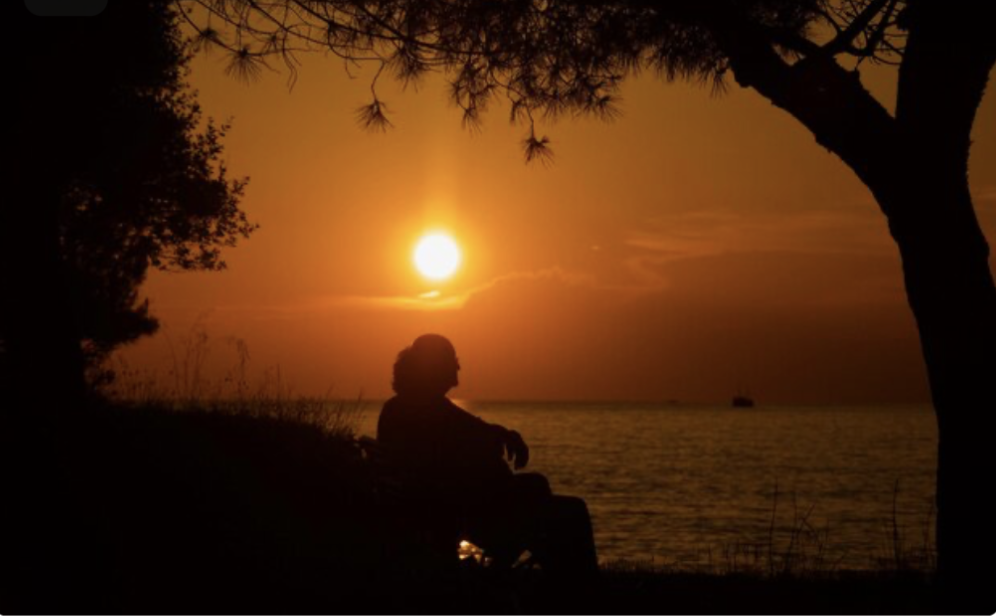 The Love Central - When Attachment Becomes Obsession The Love Central -
