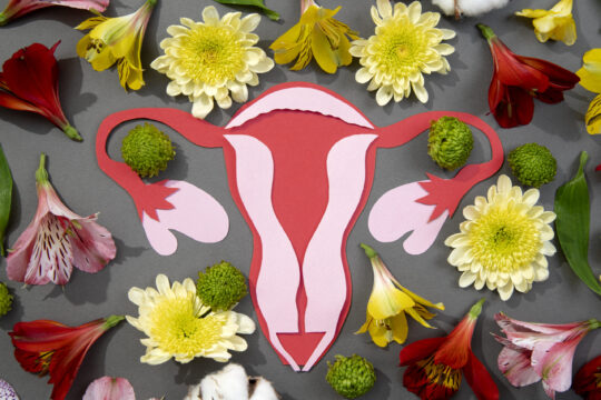 Helpful Holistic Therapies for Ovarian Cancer Warriors