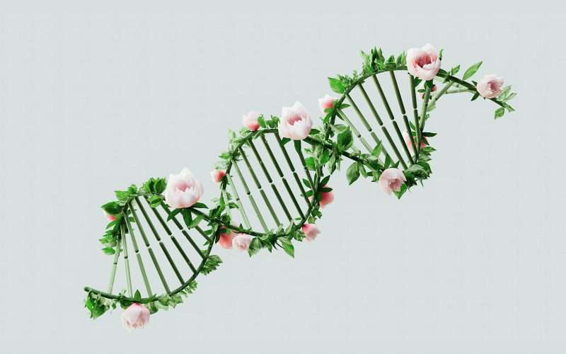 Paternity Testing in a Climate of Suspicion: A Necessary Precaution?