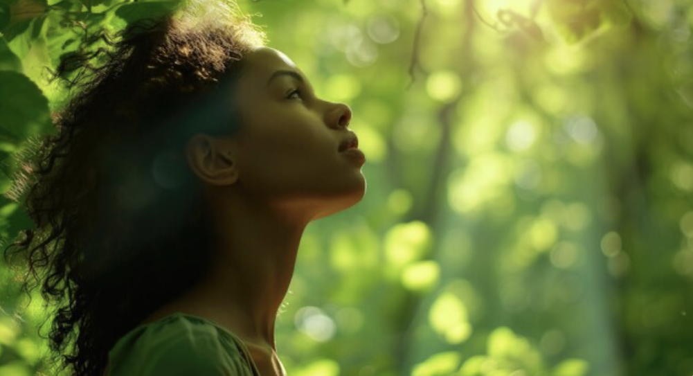 The Love Central - Green Therapy Green Therapy: How Outdoor Activities Lead to Inner Peace