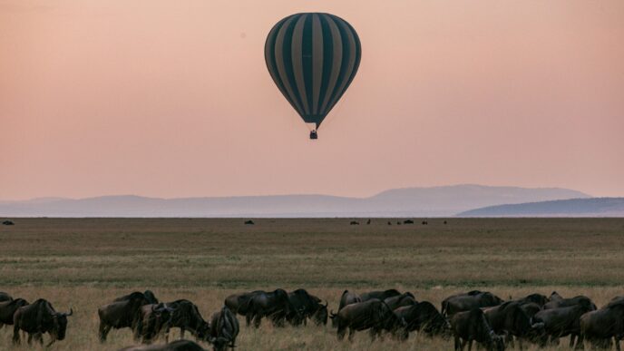 Sustainable Travel: Enjoying the World While Preserving It