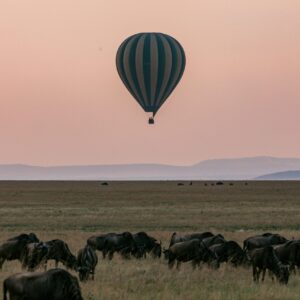 The Love Central - Sustainable Travel 2 The Love Central - Sustainable Travel: Enjoying the World While Preserving It