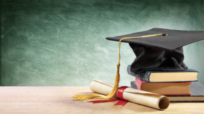 Degrees vs. Skills: Navigating the Worth of Higher Education