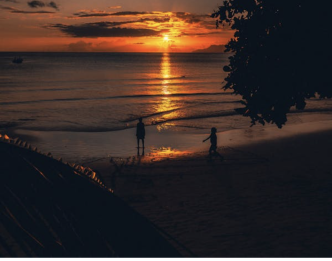 Island Hopping in the Seychelles: A Tropical Paradise