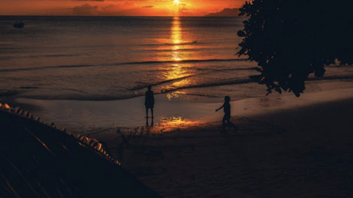 Island Hopping in the Seychelles: A Tropical Paradise