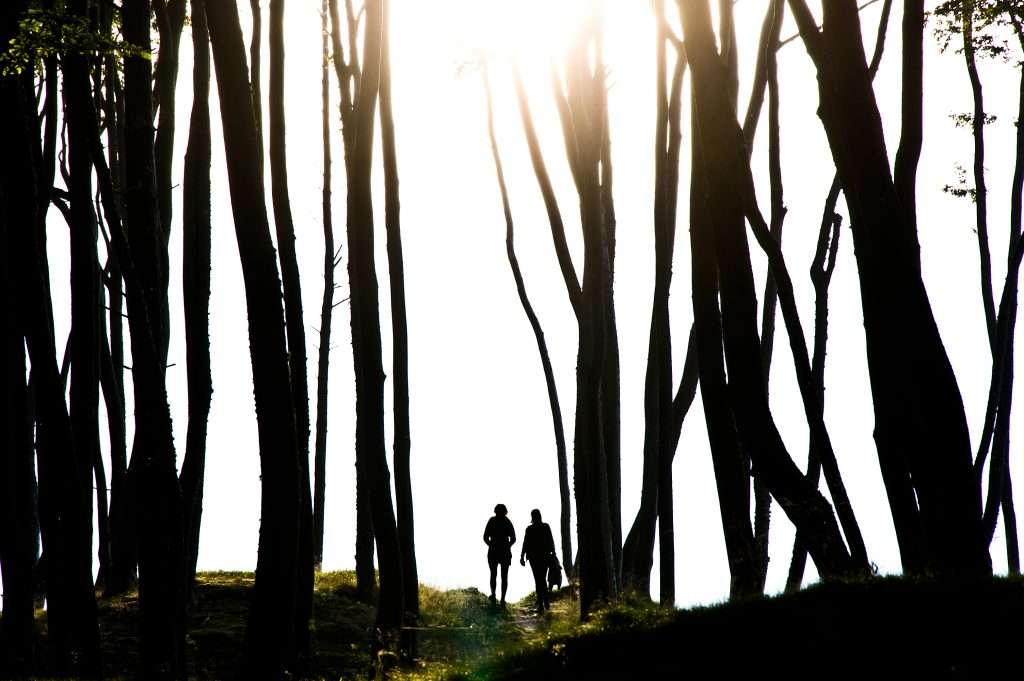 The Love Central - People in the dark mysterious forest. The Love Central -