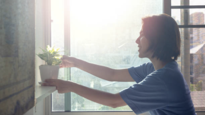 Maximizing Natural Light in Your Home for Better Mental Health: Tips for Diaspora Living