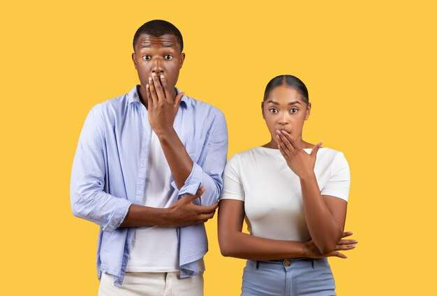 The Love Central - Communication Blunders Communication Blunders: What Couples Get Wrong When Expressing Needs