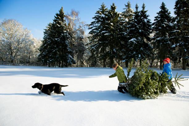 A Rural Christmas: What to Expect and How to Prepare