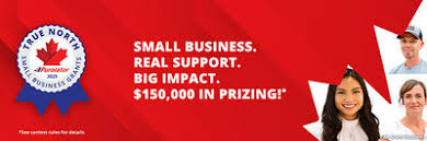The Love Central - 2 Business Grants and Awards Every African Entrepreneur in Canada Should Apply for in 2025 Purolator True North Small Business Grant Contest
