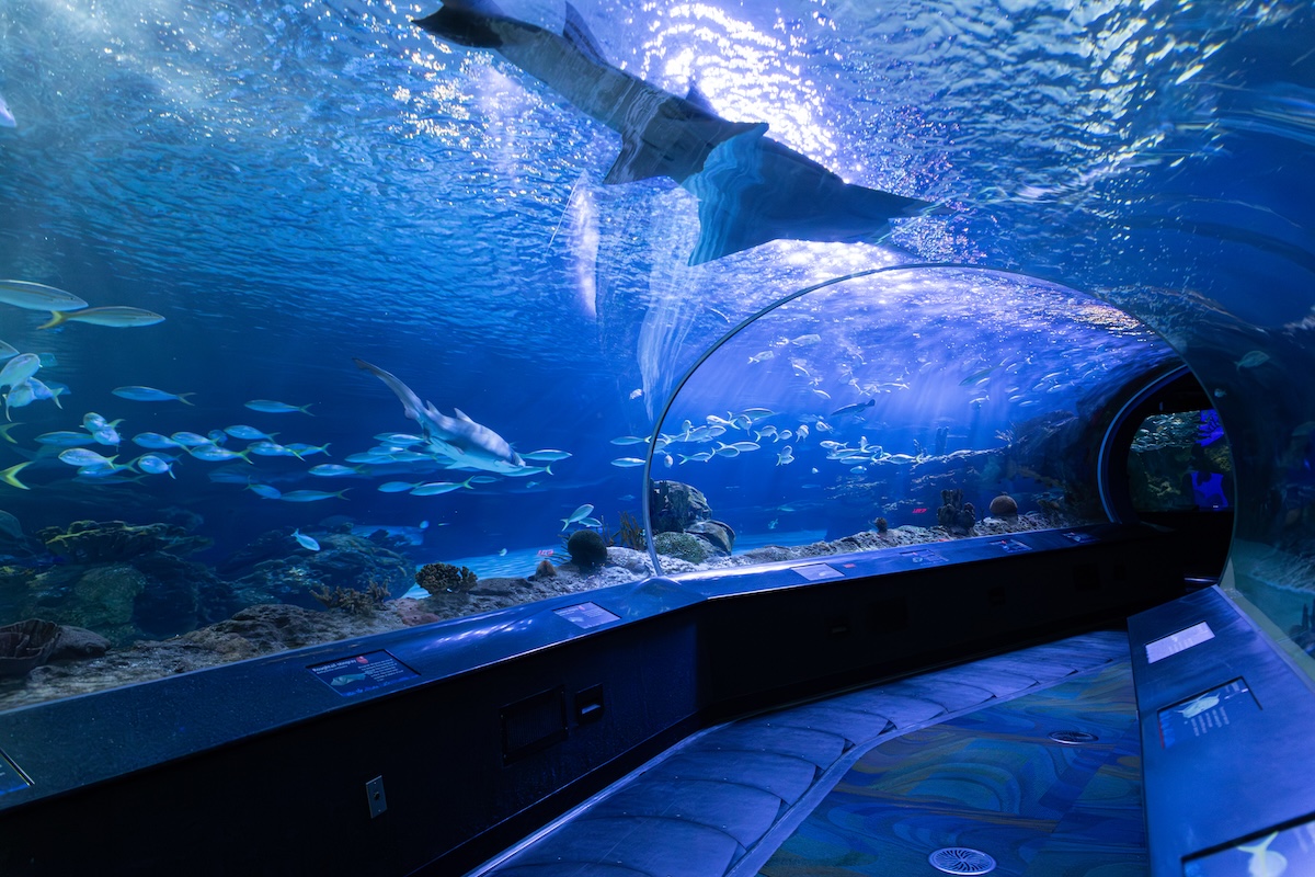 Family-Friendly Weekend Getaways in Canada for Diaspora Families